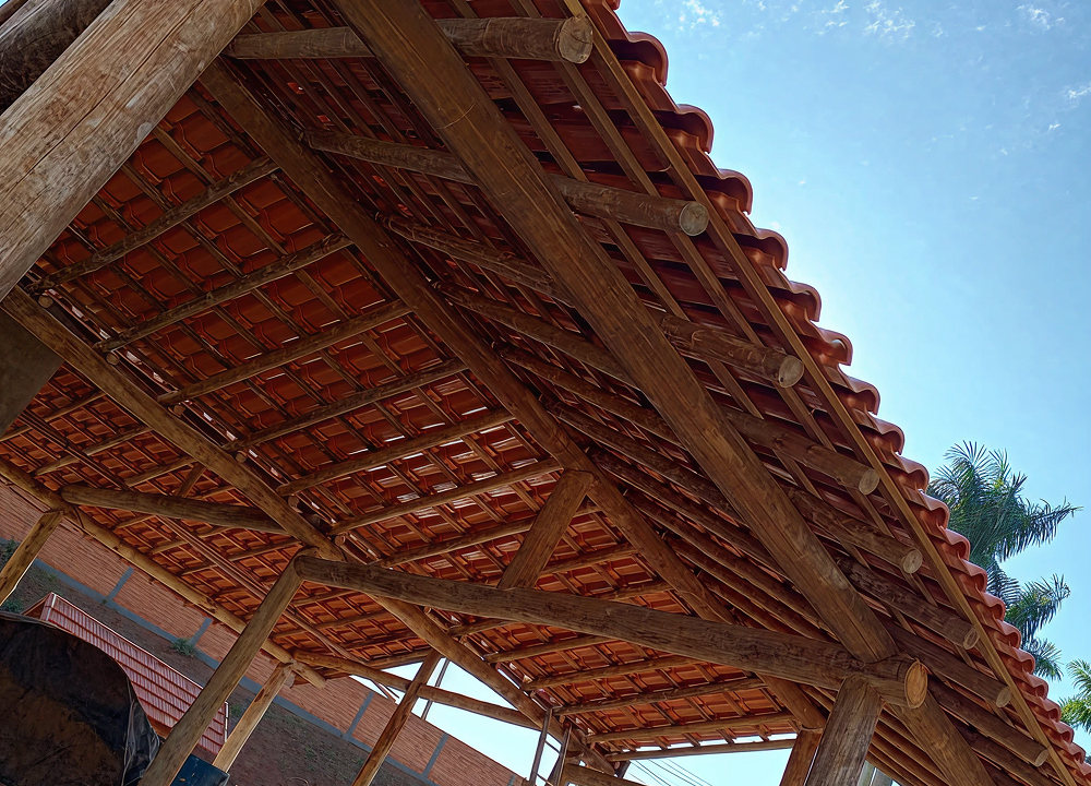 IMG-20251205-WA0046 2